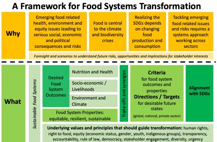 Why What And How A Framework For Transforming Food Systems