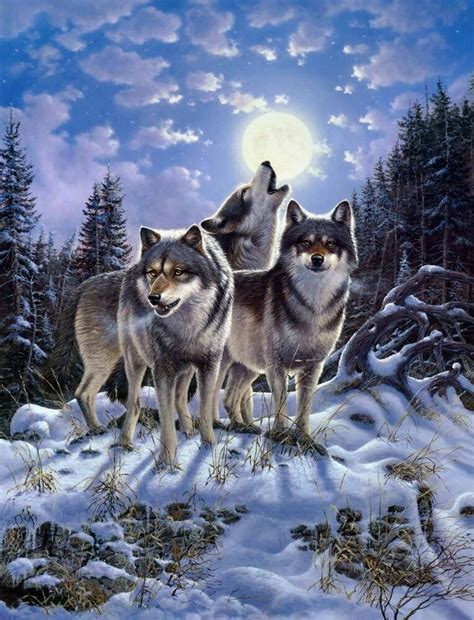 Art Canvas Print Animals Snow Wolf Picture Printed On