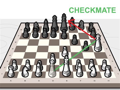 Chess tactics beginners - stealthver