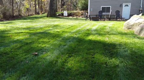 Do These Things To Get Your Lawn Ready For Spring Seascape Inc