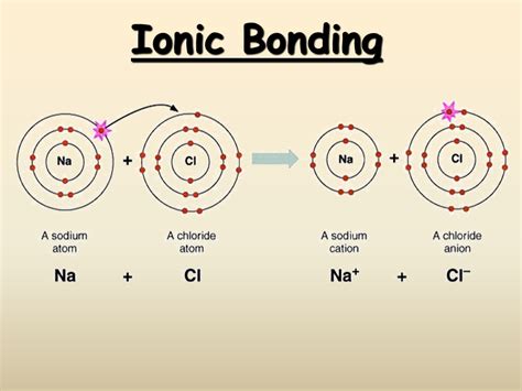 Calcium Binding To Native Muc B A Nacl Titration Of The Bound Ca Hot Sex Picture