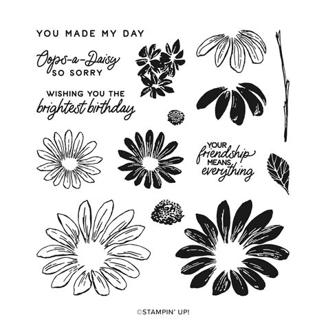 Daisy Stamp Set Stampin Up