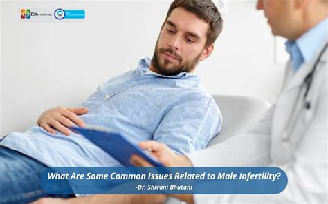 What Are Some Common Issues Related To Male Infertility Eva Hospital