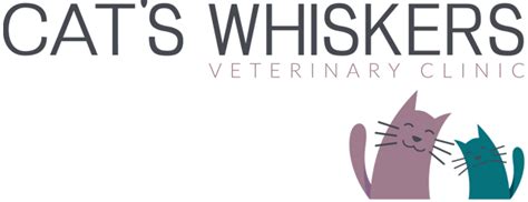 Sabah care specialist clinic, kota kinabalu, bahagian pantai barat, sabah, malezija 5.0. Specialist Cat Care From Experienced Cat Only Vet
