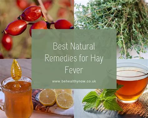 best natural remedies for hay fever be healthy now