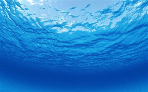 Free Download Beautiful Blue Ocean Background Galleryhipcom The