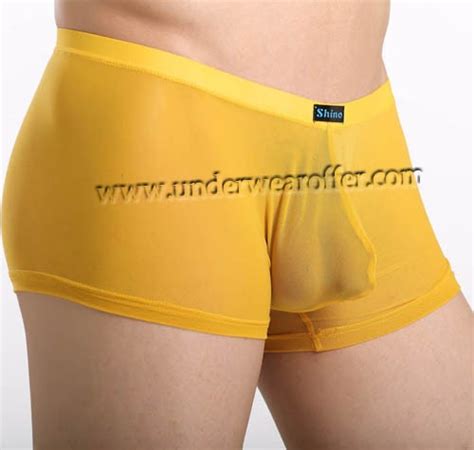Sexy Mens Sheer Boxer Briefs Bulge Pouch Underwear See Through Mesh Boxers Size S M L 8 Colors