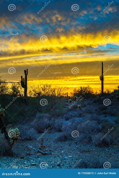Phoenix Arizona Night Scene After Sunset Stock Image Image Of Phoenix
