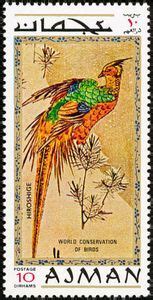 Stamp Golden Pheasant Chrysolophus Pictus Ajman Exotic Birds Art