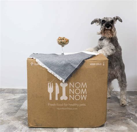 Nom Nom Fresh Dog Food Box Review And 20 Off Coupon Hello Subscription