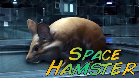 Mass Effect Andromeda Space Hamster Youtube