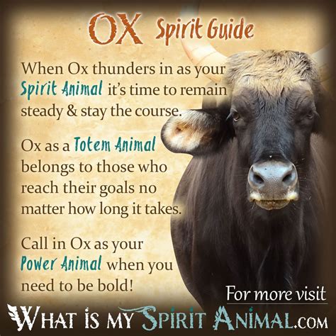 Ox Spirit Totem And Power Animal Symbolism Meaning What