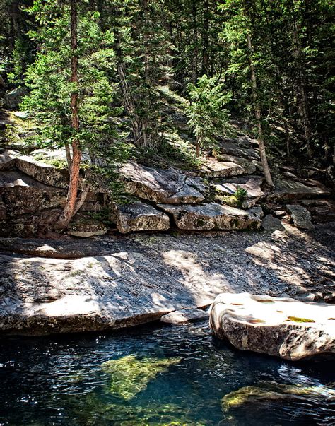 Colorado Rocky Mountain River Woodland Pine Forest Photograph By Julie