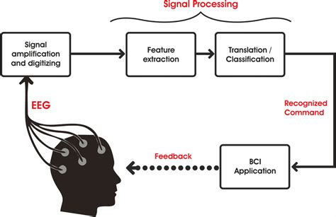 A General Braincomputer Interface Bci Structure Download