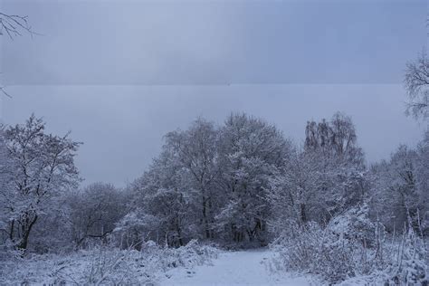 Free Peaceful Winter Landscape 3 Stock Photo