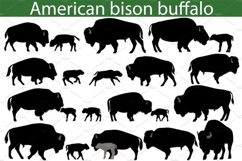 American Bison Buffalo Silhouettes Animal Illustrations ~ Creative Market