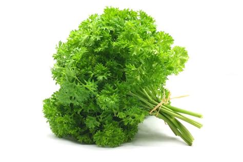 Parsley Curly Leaf Mountain Harvest Organics