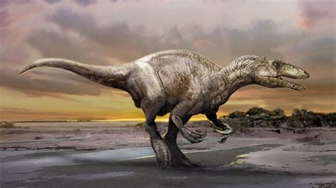Raptor dinosaur family or dromaeosauridae. Megaraptor Facts, Habitat, Diet, Fossils, Pictures