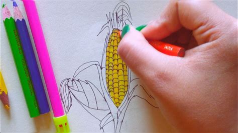 How To Draw A Maize L Step By Step Maize Drawing Binayakartschool5015