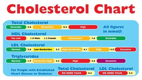 Total Cholesterol Levels Be Too Low You Must Check Its Cholesterol