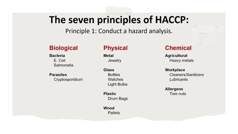 What Is Haccp And What Are The Seven Haccp Principles Haccp Explained