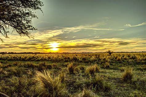 Another contribution from nikolaus hoppenthaler. Image Argentina HDRI Nature Sky Fields Sunrises and sunsets