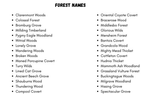 Forest Names 160 Fantasy And Enchanted Forest Names Ideas Writing