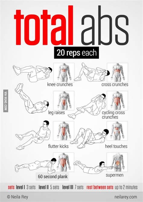 Total Abs Workout Quick Ab Workout Total Abs Total Ab Workout