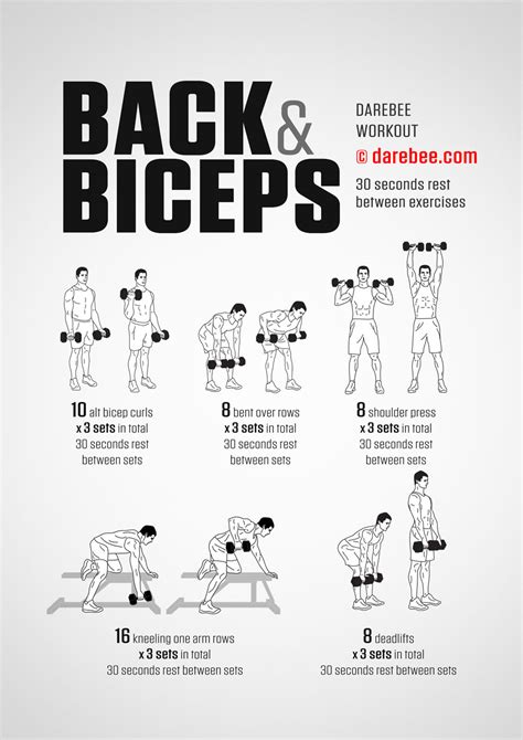 Back And Biceps Workout
