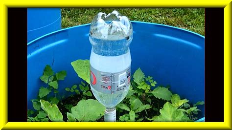 Soda Bottle Watering System For Growing Plants In Containers Youtube