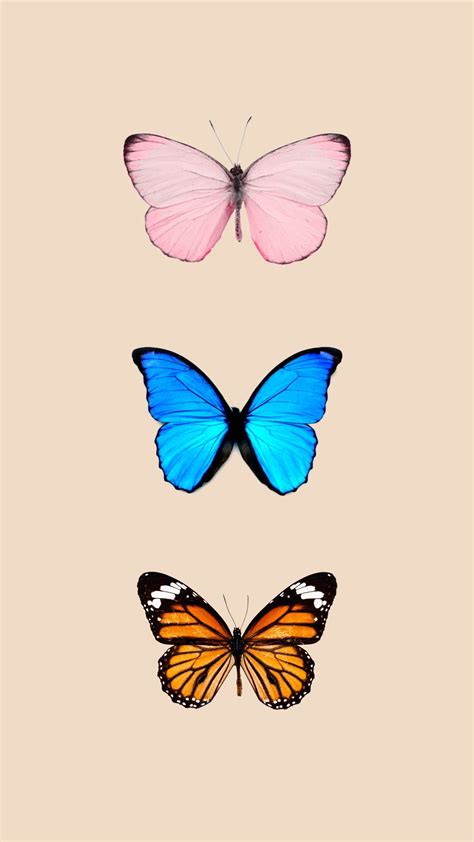 Butterfly Tapet In 2020 Butterfly Wallpaper Backgrounds Butterfly