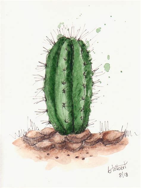 Barrel Cactus Plant With Rocks Original Watercolor Art