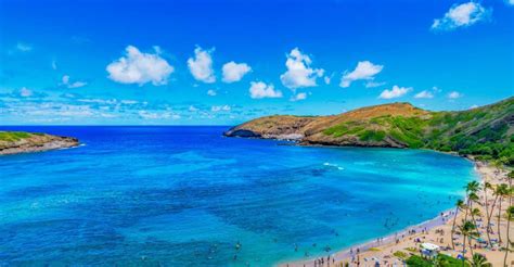 Oahu Full Day Island Highlights Tour With Transfer Getyourguide