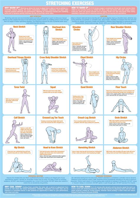 Stretching Exercise Chart Chartex