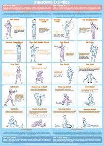  Exercise Chart Chartex