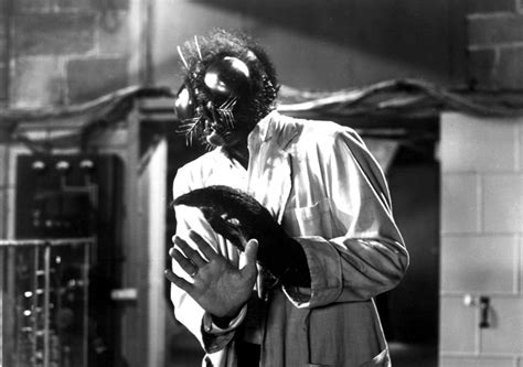 The Fly 1958 David Hedison Patricia Owens Vincent