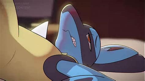 Lucario And Zoroark Gay Furry Animation And By Clade Andsoundand Xxx Mobile