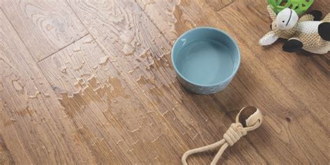 Ft./case) shop this collection (843) model# lf000844. Best Waterproof Laminate Flooring Brands 2021