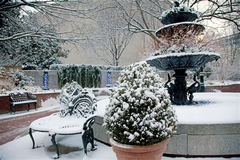 Beautiful Winter Gardens Smithsonian Gardens