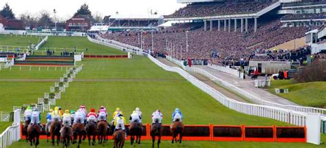 Quiz How Much Do You Know About Cheltenham Racecourse Great British