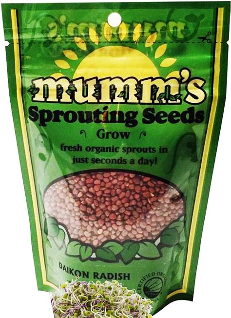 Organic Daikon Radish Radis Daikon Sprouting Microgreen Seeds Mumm