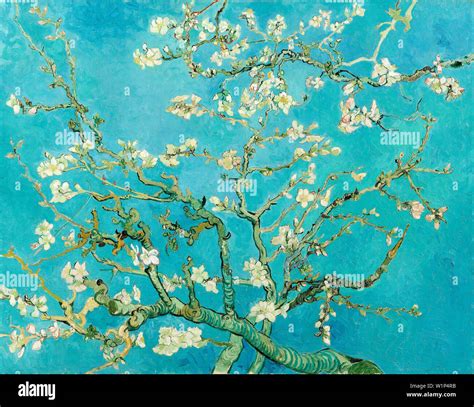 Van Gogh Blossoming Almond Tree Hi Res Stock Photography And Images Alamy