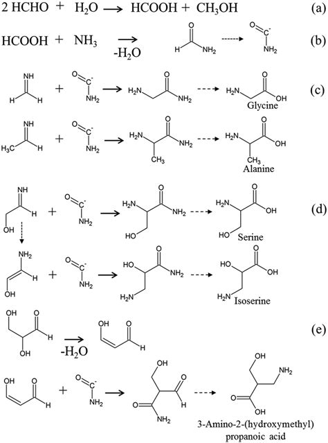 Reaction Scheme Producing Amino Acids Glycine Alanine And Hydroxy Download Scientific Diagram