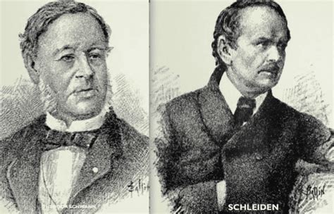 The Beginnings Of Cell Theory Schleiden Schwann And Virchow Hektoen International
