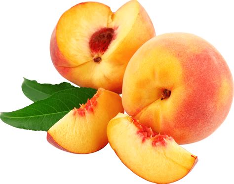 Collection Of Peaches Clipart Free Download Best Peaches Clipart On