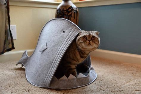 Cat Bed Cave From Wool Shark Cat House Cat Bed Fish Wool Cat Bed