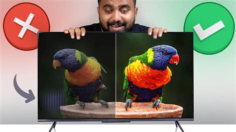 Qled Vs Oled Which Should You Choose Ultimate Guide 41 Off