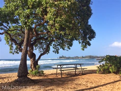 Haleiwa Alii Beach Park Updated May 2024 452 Photos And 90 Reviews