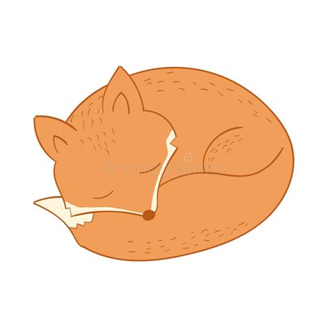 Sleeping Fox Stock Vector Illustration Of Decoration 97813693