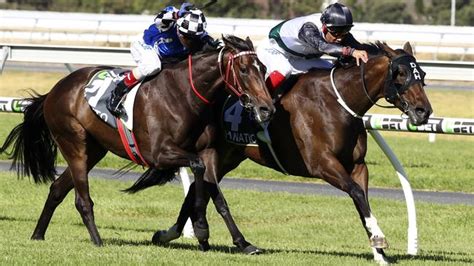The adelaide cup is considered a state holiday everywhere in south australia. Adelaide Cup 2018: Trainer Darren Weir finishes second to ...
